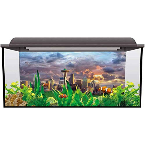 ScottDecor Tank Background Poster Backdrop Decoration Paper USA,Seattle Skyline Dramatic Sunset PVC Adhesive Static Cling Backdrop Decorative Paper L24 X H16 Inch