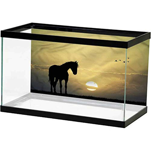 ScottDecor Horse Aquarium Wallpaper Background Animal Silhouette at Sunset 3D Double-Sided Adhesive Wallpaper L24 X H12 Inch