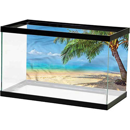 ScottDecor Landscape Undersea Backdrop Coconut Palms Island Used for Household and Office Aquarium L24 X H12 Inch