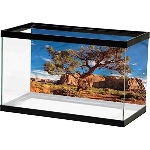 ScottDecor Landscape Terrarium Background, Old Tree Under Clear Sky Used for Household and Office Aquarium L24 X H12 Inch
