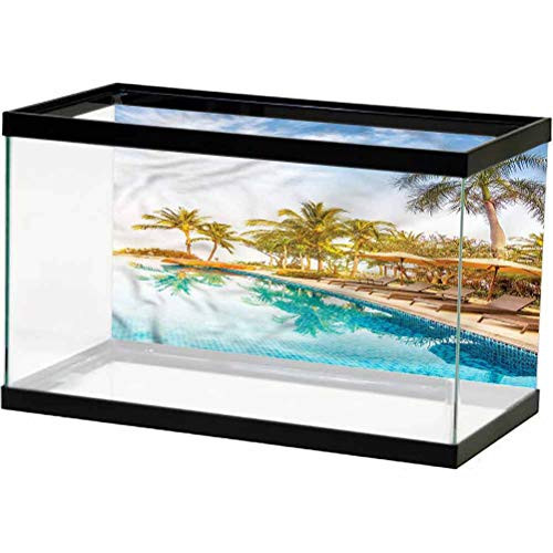 ScottDecor Landscape Terrarium Background, Resting Under Palms Undersea World L24 X H12 Inch