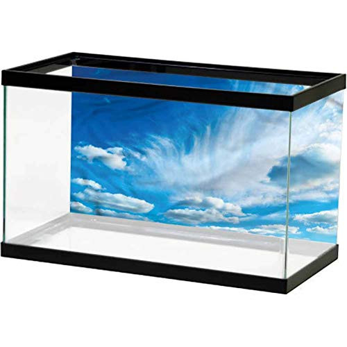 ScottDecor Landscape Undersea Backdrop for Photography Sunny Atmosphere Design 3D Double-Sided Adhesive Wallpaper L24 X H12 Inch ScottDecor Landscape Undersea Backdrop for Photography Sunny Atmosphere Design 3D Double-Sided Adhesive Wallpaper L24 X H12 Inch