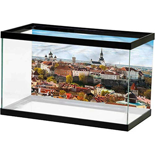 ScottDecor Landscape Aquarium Background Sticker Tallinn Estonia Skyline Used for Household and Office Aquarium L24 X H12 Inch