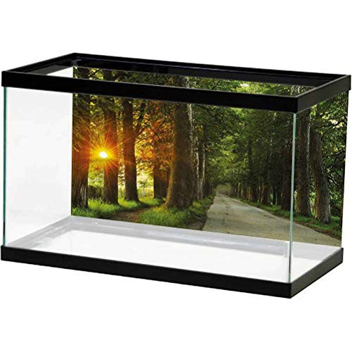 ScottDecor Nature Aquarium Wallpaper Background Fresh Morning Scenery Water Tank Stickers L24 X H12 Inch