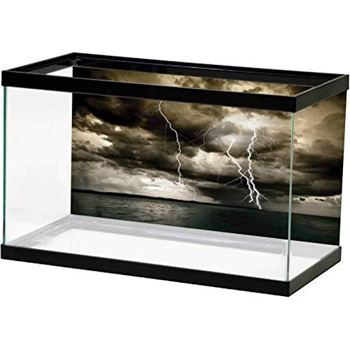 ScottDecor Nature Aquarium Decor Backgrounds Rain Cloud Cumulus Ocean Undersea World L24 X H12 Inch