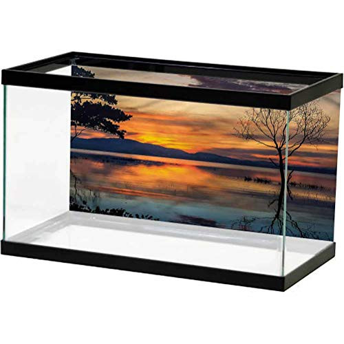 ScottDecor Nature Aquarium Wallpaper Background Tranquil River Dawn Horizon Decals Poster L24 X H12 Inch