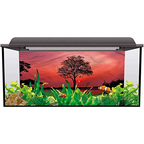 PVC Aquarium Background Sunrise,Twilight Sky with Tree PVC Adhesive Decor Pape L24 X H16 Inch