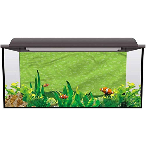 ScottDecor Aquarium Wallpaper Background Green,Doodle Tulip Blossoms Static Cling L24 X H16 Inch ScottDecor Aquarium Wallpaper Background Green,Doodle Tulip Blossoms Static Cling L24 X H16 Inch