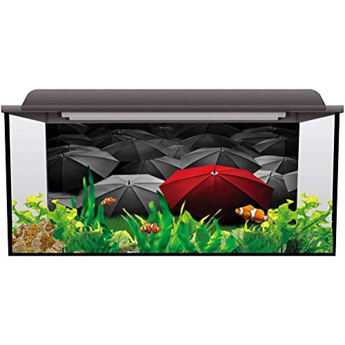 ScottDecor Aquarium Poster Red and Black,Stormy Day Umbrellas Ocean Background Photo L24 X H16 Inch ScottDecor Aquarium Poster Red and Black,Stormy Day Umbrellas Ocean Background Photo L24 X H16 Inch