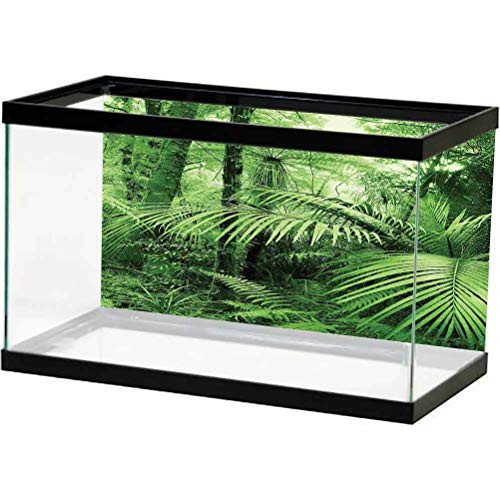 Aquarium Backdrop Sticker Rainforest,PalmTreesandExoticPlantsinTropicalJungleWildNatureZenThemeIllustration,Green for Birthday Party Banner Decor Aquarium L24 X H16 inch