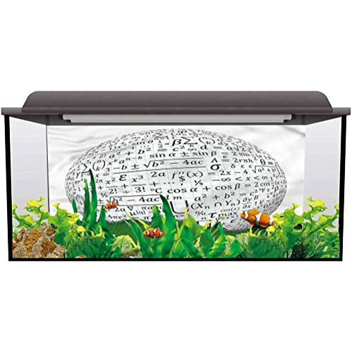 ScottDecor Aquarium Background Mathematics Classroom,Formula Globe Ocean Background Photo L24 X H16 Inch ScottDecor Aquarium Background Mathematics Classroom,Formula Globe Ocean Background Photo L24 X H16 Inch