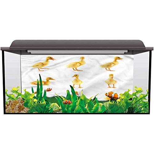 bybyhome Aquarium Backdrop Sticker Duckies,Fluffy Baby Ducks Posing for Birthday Party Banner Decor Aquarium L24 X H12 Inch
