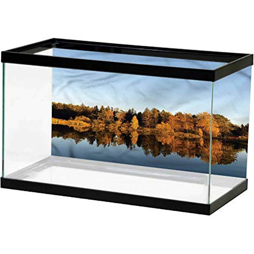ScottDecor Landscape Undersea Backdrop Autumn Forest Silhouette Used for Household and Office Aquarium L24 X H16 Inch