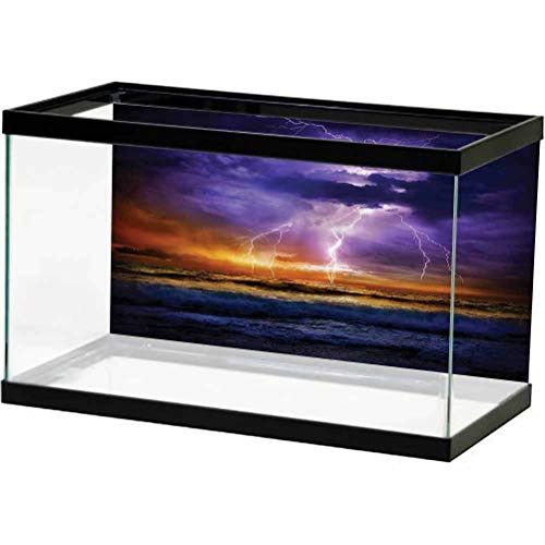 ScottDecor Nature Underwater World Backdrop Epic Thunder Atmosphere PVC Adhesive Static Cling Wallpaper Sticker L24 X H16 Inch