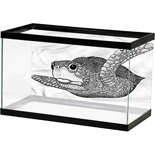 ScottDecor Nautical Aquarium Background Sticker Sea Turtle Marine Exotic Used for Household and Office Aquarium L24 X H16 Inch