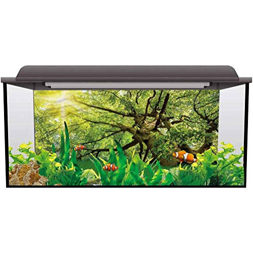 bybyhome Aquarium Wallpaper Background Forest,Warm Spring Sun Old Beech Thicken PVC Adhesive Static Cling L24 X H16 Inch