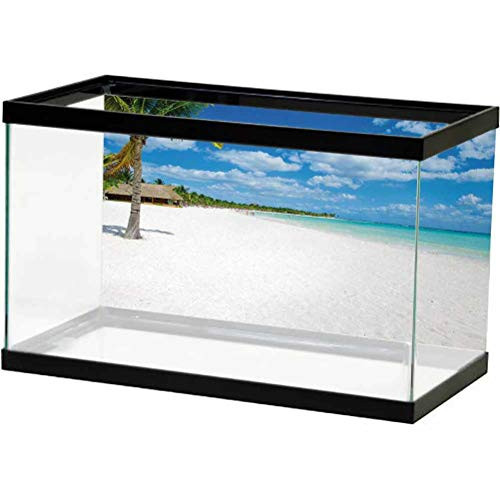 ScottDecor Beach Aquarium Background Sticker Tropical Exotic Seashore with Palm Trees and Clear Sky Island Nature Summertime PVC Adhesive Blue White Green L24 X H24 Inch