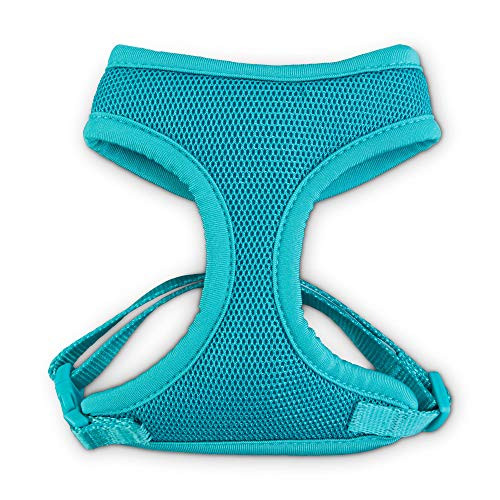 Good2Go Teal Cat Harness and Leash Set, Standard