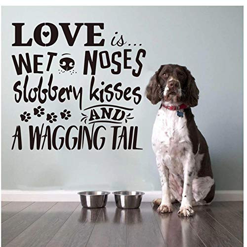 Wall Sticker Dog Pet Grooming Quote Window Wall Sticker Cat Dog Puppy Animal Pet Grooming Salon Glass Wall Decal Shop Decor 76x73cm Wall Sticker Dog Pet Grooming Quote Window Wall Sticker Cat Dog Puppy Animal Pet Grooming Salon Glass Wall Decal Shop Decor 76x73cm