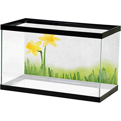 ScottDecor Daffodil Aquarium Background Decoration Daffodil Flower in Grass Field Meadows Freshening Uniform Colored Illustration Sea World Colorful Green Yellow L24 X H24 Inch