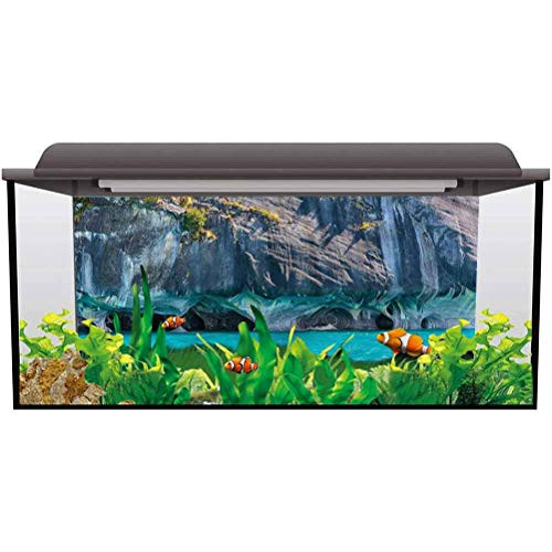 ScottDecor Aquarium Backdrop Sticker Turquoise,Marble Caves Chile Paper Cling L24 X H24 Inch ScottDecor Aquarium Backdrop Sticker Turquoise,Marble Caves Chile Paper Cling L24 X H24 Inch