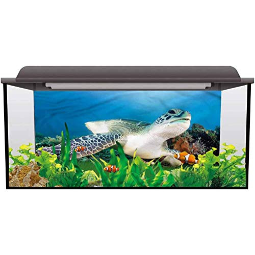 ScottDecor Seabed World Backdrop Turtle,Green Turtle Coral Background Sticker L24 X H24 Inch ScottDecor Seabed World Backdrop Turtle,Green Turtle Coral Background Sticker L24 X H24 Inch