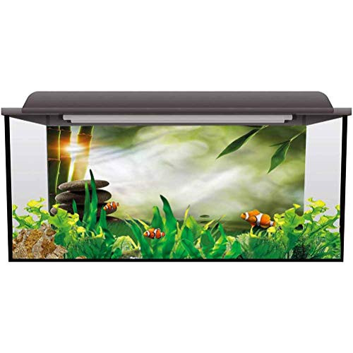 ScottDecor Aquarium Background Decoration Tropical,Bamboo Tree Water Splash Paper Cling L24 X H24 Inch ScottDecor Aquarium Background Decoration Tropical,Bamboo Tree Water Splash Paper Cling L24 X H24 Inch