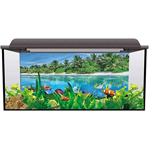 ScottDecor Aquarium Wallpaper Background Island,Aquatic World Maldives Decals Sticker L24 X H24 Inch ScottDecor Aquarium Wallpaper Background Island,Aquatic World Maldives Decals Sticker L24 X H24 Inch