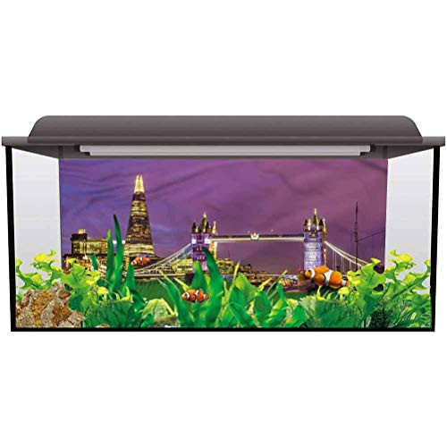 ScottDecor Aquarium Background Picture London,Tower Bridge in London Photography Background Undersea Backdrop L24 X H24 Inch ScottDecor Aquarium Background Picture London,Tower Bridge in London Photography Background Undersea Backdrop L24 X H24 Inch