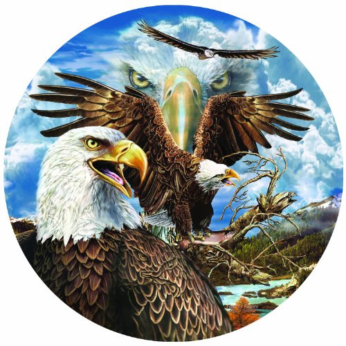 SunsOut 13 Eagles 1000 pc Jigsaw Puzzle