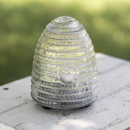 CTW Home Collection Bee Hive Fly Trap