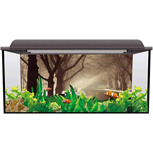 ScottDecor Aquarium 3D Backdrops Tree,Street View Foggy Day 3D Underwater World Backdrop Aquarium L30 X H12 Inch