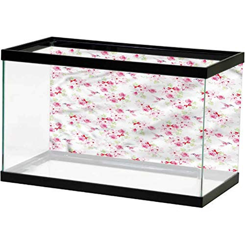 ScottDecor Hummingbirds Aquarium 3D Backdrops Magnolias and Roses Decals Poster L24 X H24 Inch ScottDecor Hummingbirds Aquarium 3D Backdrops Magnolias and Roses Decals Poster L24 X H24 Inch