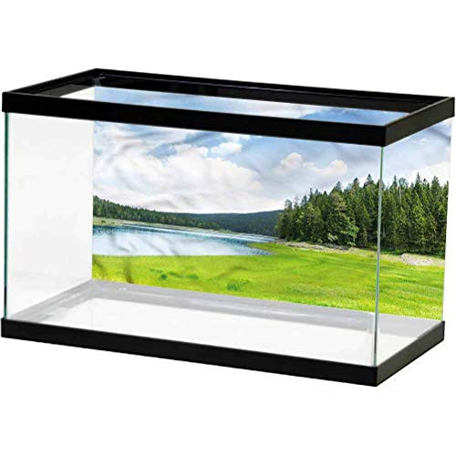 ScottDecor Landscape Aquarium 3D Backdrops Durmitor Park Montenegro Underwater World Backdrop Aquarium Corals Photography L24 X H24 Inch