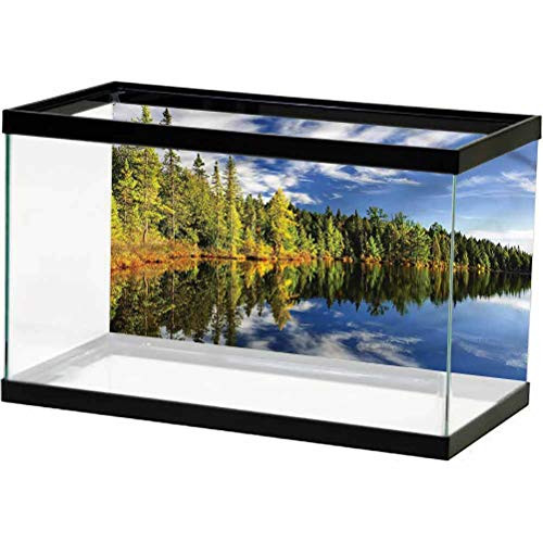 ScottDecor Landscape Underwater World Backdrop Forest Reflecting on Lake Glass Sticker L24 X H24 Inch ScottDecor Landscape Underwater World Backdrop Forest Reflecting on Lake Glass Sticker L24 X H24 Inch