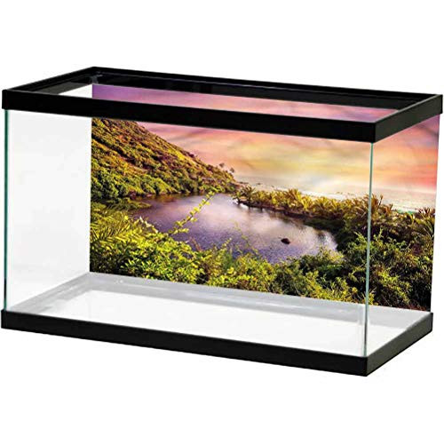 ScottDecor Landscape Aquarium Decor Backgrounds Lake with Forest Trees Backdrop Decoration Paper Cling Decals Sticker L24 X H24 Inch ScottDecor Landscape Aquarium Decor Backgrounds Lake with Forest Trees Backdrop Decoration Paper Cling Decals Sticker L24 X H24 Inch
