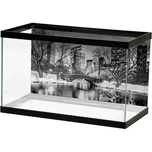 ScottDecor Landscape Terrarium Background, New York City in Winter Undersea World L24 X H24 Inch ScottDecor Landscape Terrarium Background, New York City in Winter Undersea World L24 X H24 Inch