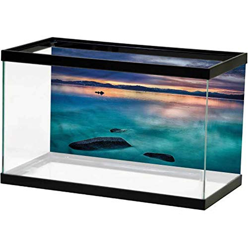 ScottDecor Landscape Undersea Backdrop for Photography Rock Clouds in Lake Tahoe Water Tank Stickers L24 X H24 Inch ScottDecor Landscape Undersea Backdrop for Photography Rock Clouds in Lake Tahoe Water Tank Stickers L24 X H24 Inch