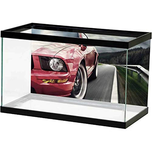 Man Cave Terrarium Background, Sports Car on Narrow Road Background Poster Backdrop Decoration Paper L24 X H24 Inch