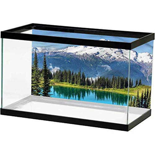 ScottDecor Nature Glass Aquarium Kit Idyllic Lake and Pine Trees Backdrop Decoration Paper Cling Decals Sticker L24 X H24 Inch ScottDecor Nature Glass Aquarium Kit Idyllic Lake and Pine Trees Backdrop Decoration Paper Cling Decals Sticker L24 X H24 Inch