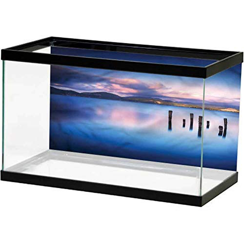 ScottDecor Nature Undersea Backdrop for Photography Sky Reflection on Water Undersea World L24 X H24 Inch ScottDecor Nature Undersea Backdrop for Photography Sky Reflection on Water Undersea World L24 X H24 Inch