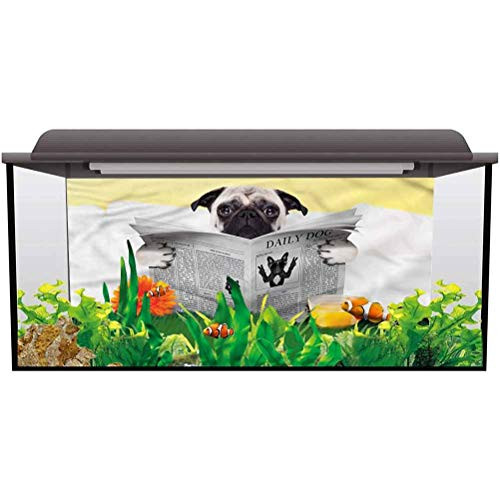 ScottDecor Aquarium Poster Pug,Pug Reading News Daily Dog Summer Holiday Children Birthday Party Photo Studio L30 X H12 Inch
