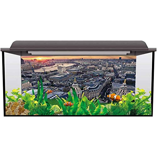 ScottDecor Aquarium Background London,Aerial View British Town Photography Background Undersea Backdrop L30 X H12 Inch