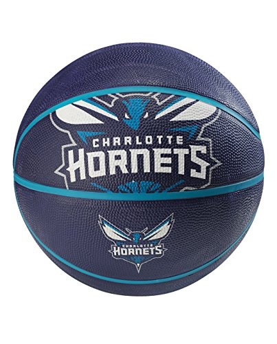 NBA Charlotte Hornets Spaldingteam Logo, Multi, 29.5"