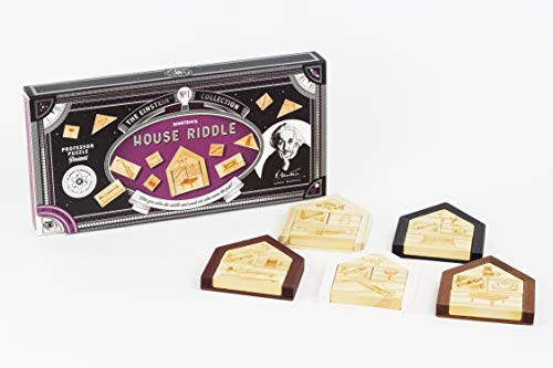 Einstein's House Riddle Puzzle