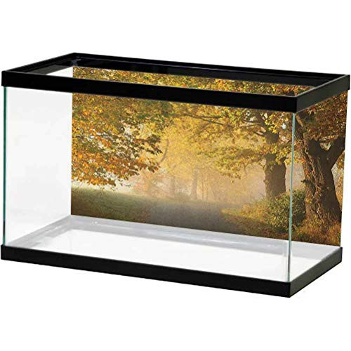 ScottDecor Woodland Underwater World Backdrop Rural Road in a Misty Autumn Morning Countryside Pathway Scenery Natural 3D Underwater World Backdrop Aquarium Pale Coffee Green L30 X H18 Inch ScottDecor Woodland Underwater World Backdrop Rural Road in a Misty Autumn Morning Countryside Pathway Scenery Natural 3D Underwater World Backdrop Aquarium Pale Coffee Green L30 X H18 Inch