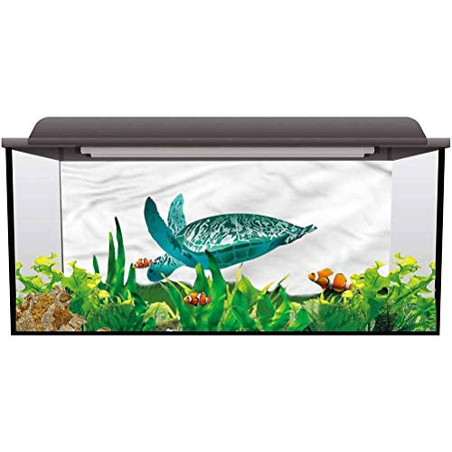ScottDecor Aquarium Background Decoration Turtle,Hawaiian Fauna Underwater Backdrop Decorative Paper L30 X H18 Inch ScottDecor Aquarium Background Decoration Turtle,Hawaiian Fauna Underwater Backdrop Decorative Paper L30 X H18 Inch