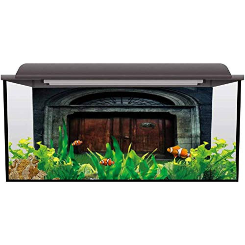 ScottDecor Tank Background Poster Backdrop Decoration Paper Gothic,Antique Wooden Door PVC Adhesive L30 X H18 Inch