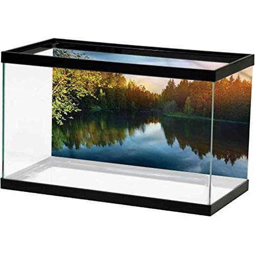 ScottDecor Landscape Aquarium Poster Sunshine Tranquil Scenery Background Sticker L30 X H12 Inch