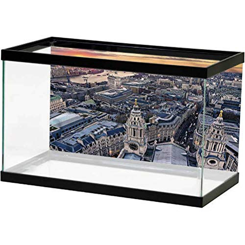 ScottDecor London Aquarium Background Sticker Aerial View British Town Used for Household and Office Aquarium L30 X H12 Inch